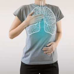 De longen meer info over de functie van de longen en hun belang vergoedhartonderzoek